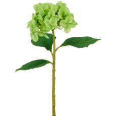 Hydrangea x1, 33cm, green, Real Touch