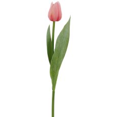 Tulpe x1, 35cm, rosa