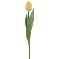 Tulpe x1, 35cm, gelb