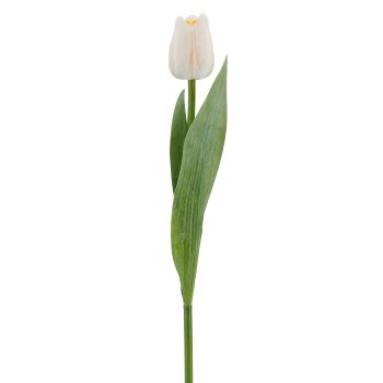 Tulpe x1, 35cm, weiß