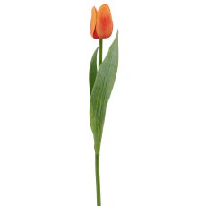 Tulpe x1, 35cm, orange