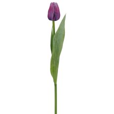 Tulpe x1, 35cm, lila