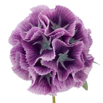 Scabiose x3, 75cm, lila