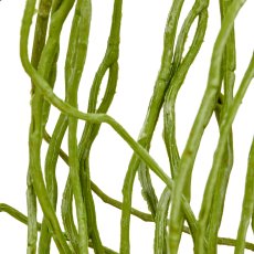 Orchid root, 125cm, green