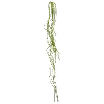 Orchid root, 125cm, green