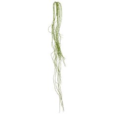Orchid root, 125cm, green