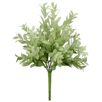 Ruscusbusch x9, 32cm, grün