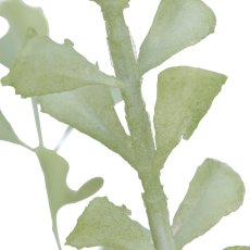 Streifenfarnzweig, 78cm, grün
