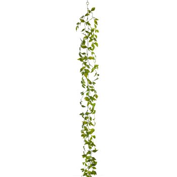 Asparagoidesgirlande, 180cm, grün