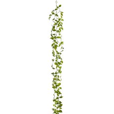 Asparagoidesgirlande, 180cm, grün