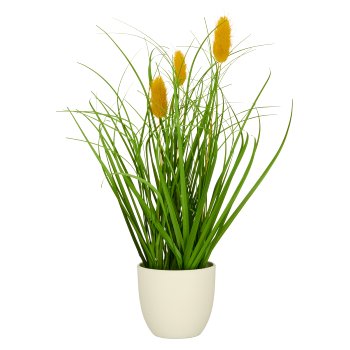 Grass mixed x3, elongated with yellow flowers, ca. 30cm, green, in white plastic pot