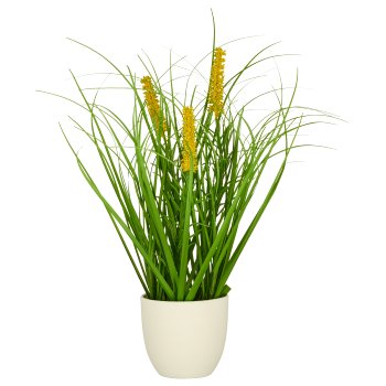 Grass mixed x3, elongated with yellow flowers, ca. 30cm, green, in white plastic pot