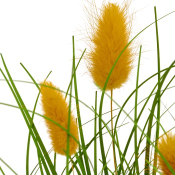 Grass mixed x3, elongated with yellow flowers, ca. 30cm, green, in white plastic pot