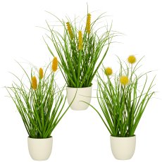 Grass mixed x3, elongated with yellow flowers, ca. 30cm, green, in white plastic pot