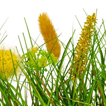 Gras, länglich mit gelben Blüten, 30x5,5x23cm, grün