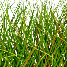 Gras, länglich, 30x5,5x20cm, grün