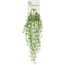 Euphorbienhängezweig mit Karte, 82cm, grau