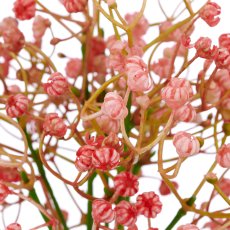Leinkrautsträußchen x3, 27cm, pink