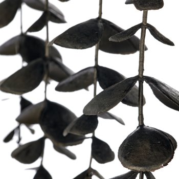 Eucalyptus pendant, 52cm, schwarz, in black plastic pot 9.5x9.5x9cm