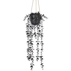 Eucalyptus pendant, 52cm, schwarz, in black plastic pot 9.5x9.5x9cm