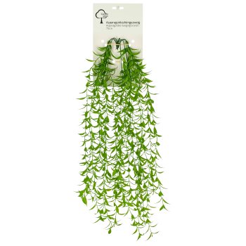 Asparagoideshängezweig mit Karte, 73cm, grün