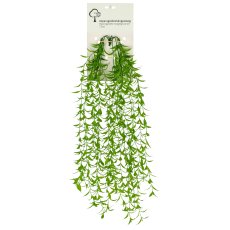 Asparagoideshängezweig mit Karte, 73cm, grün