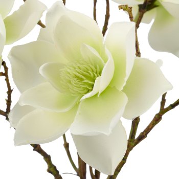 Magnoliensträußchen x3, 33cm, weiß