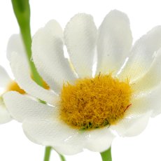 Margerite x5, 71cm, weiß