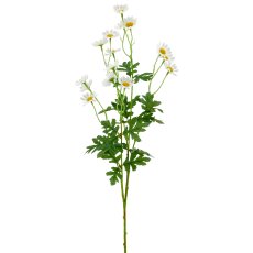 Margerite x5, 71cm, weiß