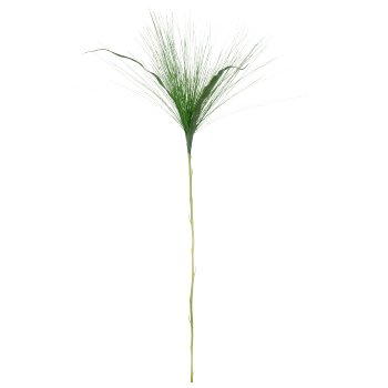 Cyperus branch, 90cm, green