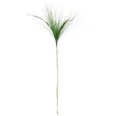 Cyperus branch, 90cm, green