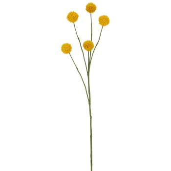 Graspediazweig x5, 71cm, gelb