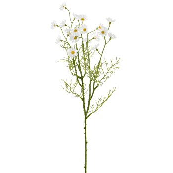 Kamillenzweig, 50cm, weiß