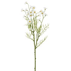 Kamillenzweig, 50cm, weiß