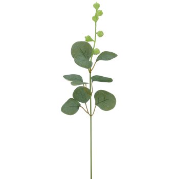 Eucalyptus branch, 48cm, green