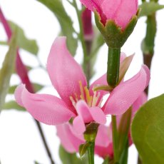 Strauß mit Stephanotis x3, 49cm, rosa