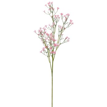 Sommerschleierkraut, 69cm, rosa