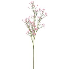 Summer gypsophila, 69cm, pale pink