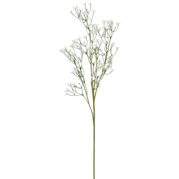 Summer gypsophila, 69cm, white