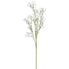 Summer gypsophila, 69cm, white