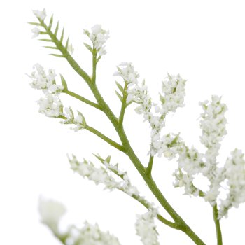 Limonium branch, 83cm, white