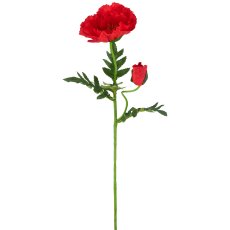 Mohn x2, 69cm, rot