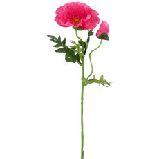 Mohn x2, 69cm, pink