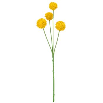 Graspedia x4, 30cm, yellow