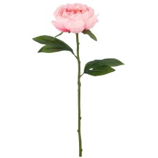 Päonienzweig x1, 51cm, rosa
