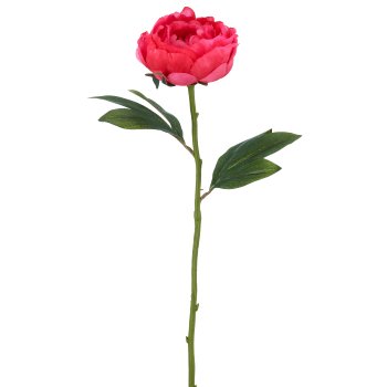 Peony branch x1, 51cm, pink