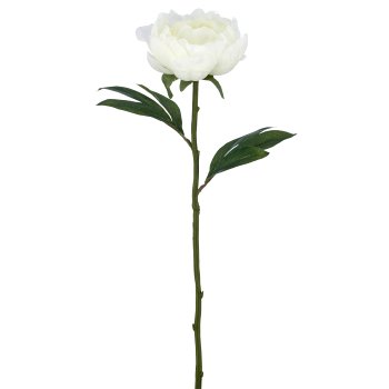 Päonienzweig x1, 51cm, weiß