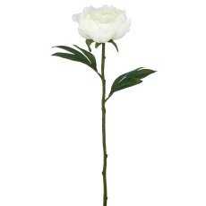 Päonienzweig x1, 51cm, weiß