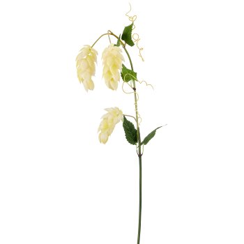 Hopfen, 107cm, weiß, Real Touch