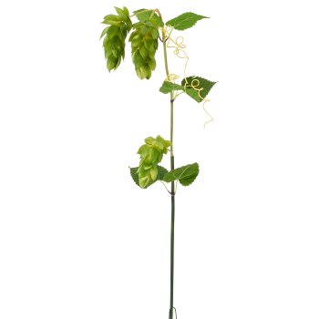 Hopfen, 107cm, grün, Real Touch